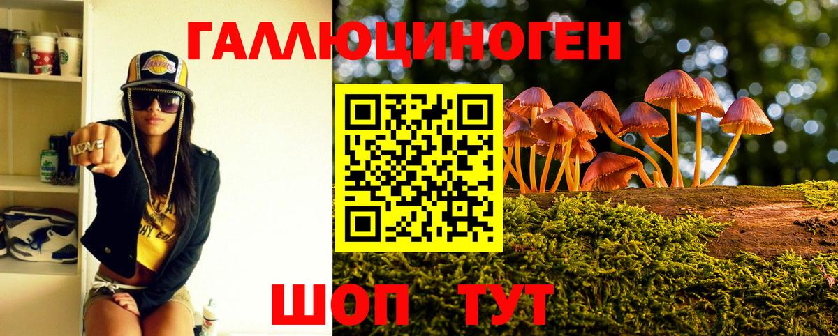 Псилоцибиновые грибы MAGIC MUSHROOMS  Псилоцибиновые грибы Cubensis  Алушта  Вход с VPN 